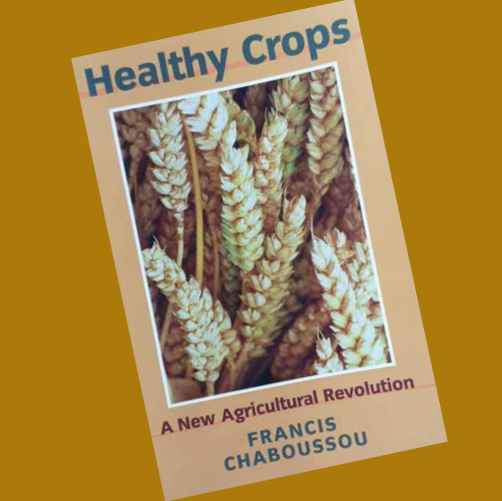 Healthy Crops